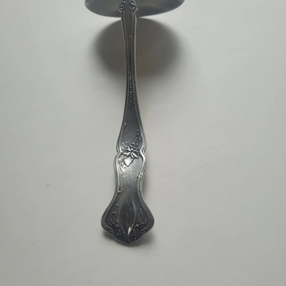 1847 Rogers Bros Vintage Grape Flatware Serving Spoon XS Fork Twisted